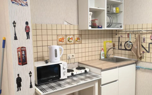 Uyutnaya Studiya V Novom Petergofe Flat