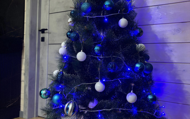 Шале Гостевой домик Среди Сосен