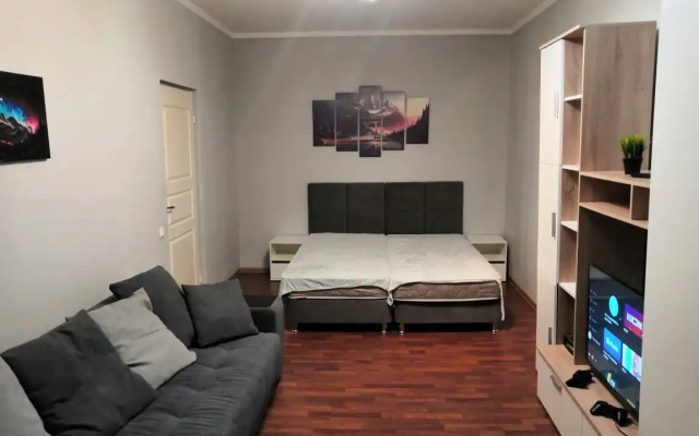 Квартира Олимпийская 83