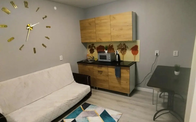 Apartamenty V Zhk Kamskie Ogni Flat 2