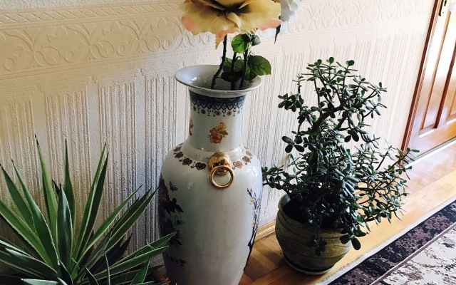 Nadezhda Guest House
