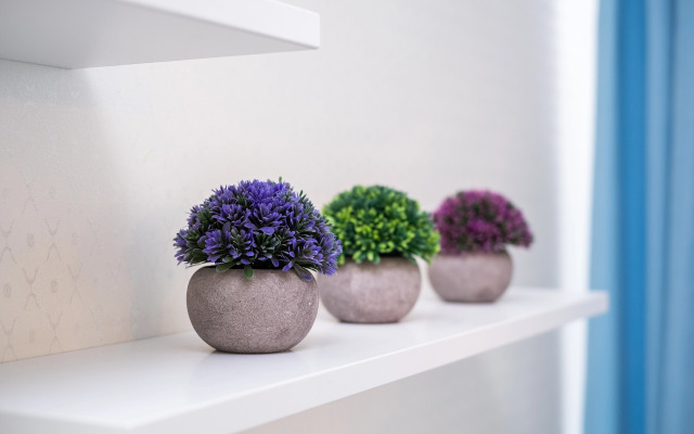 Апартаменты Центр Сочи