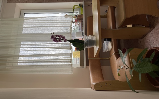 Odnokomnatnaya Kvartira v Sukhumi Flat