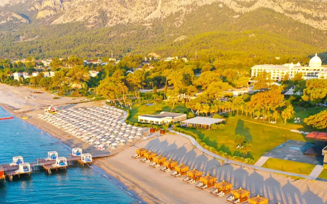 Juju Premier Palace 