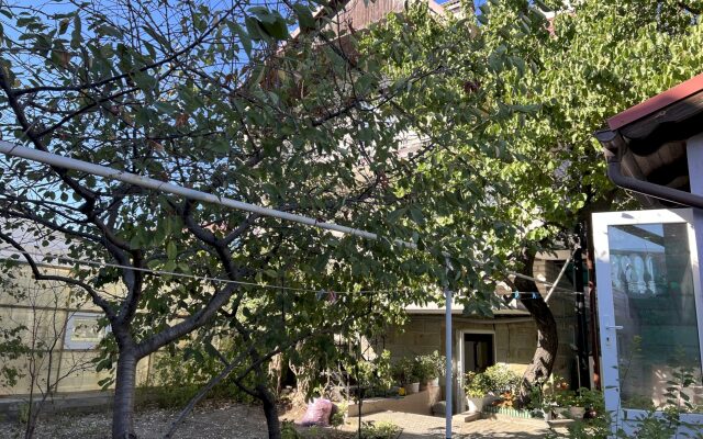 Апартаменты 300 Пентхаус с Террасой