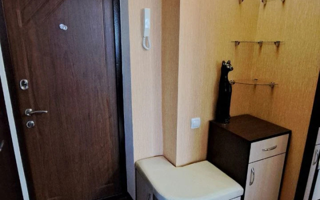 Uyutnaya odnushka v tsentre novogo goroda Flat