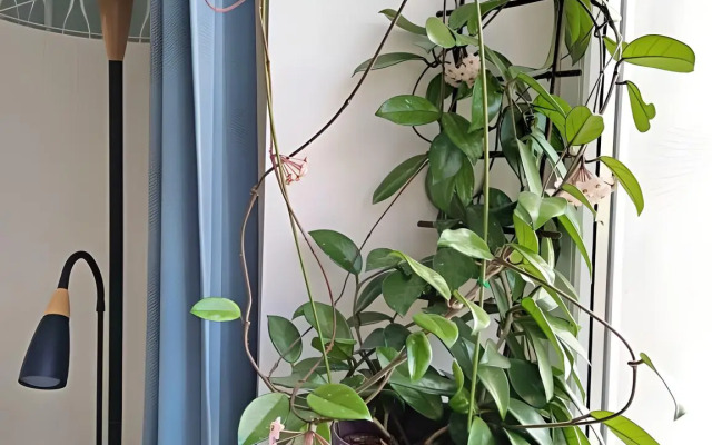 Квартира dombomb