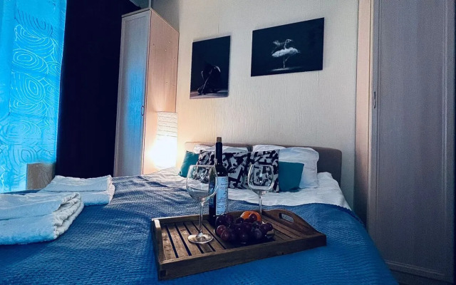 Apartamenty Uluchshennaya Studiya Salyut Pulkovo