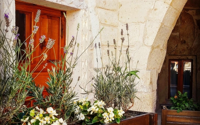 Vigneron Cave Hotel Boutique hotel
