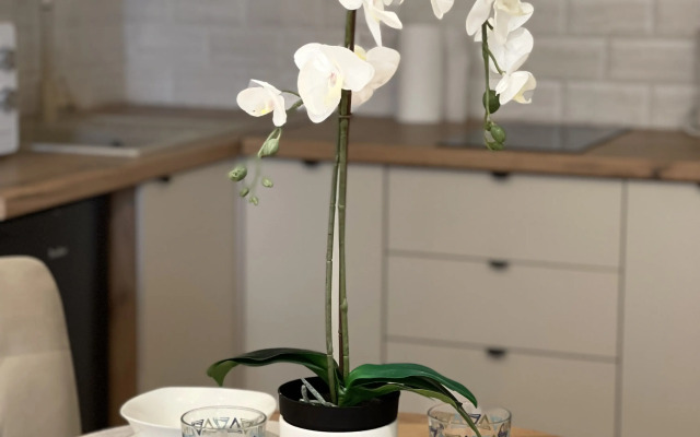 Апартаменты Уютная Студия Краснодар Бульвар Адмирала Пустошкина 11