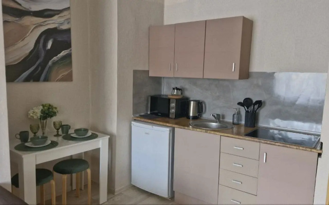 Квартира Студия на Елизаровской