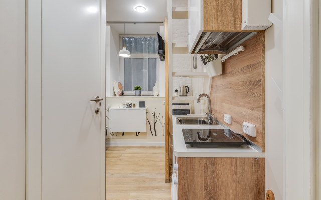 Апартаменты Лебедев Лофт на Невском 158 (6)