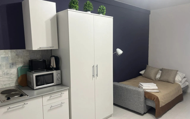 Квартира Уютная студия у Залива, Васильевский остров