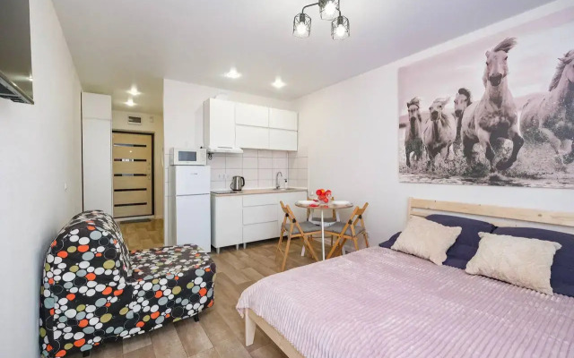 Апартаменты Комфортабельная Студия от собственника на Радуге Сибири