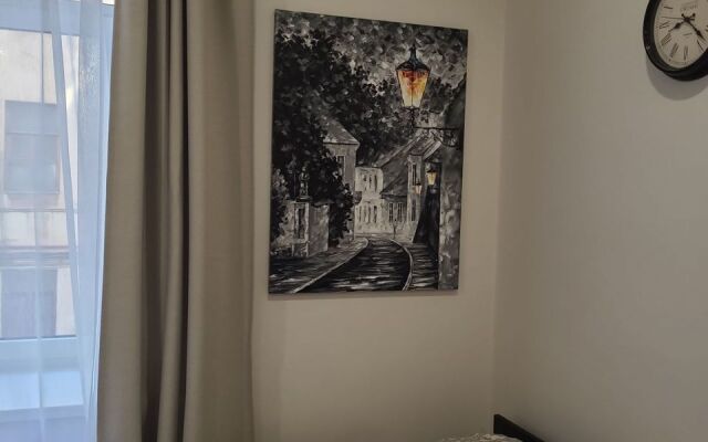 Квартира - студия в иcтoричeскoм цeнтре Санкт-Пeтеpбургa (4)