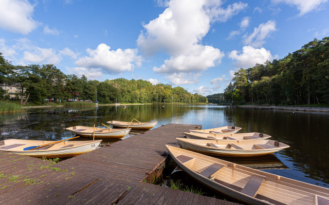 Апартаменты Вид на сосны
