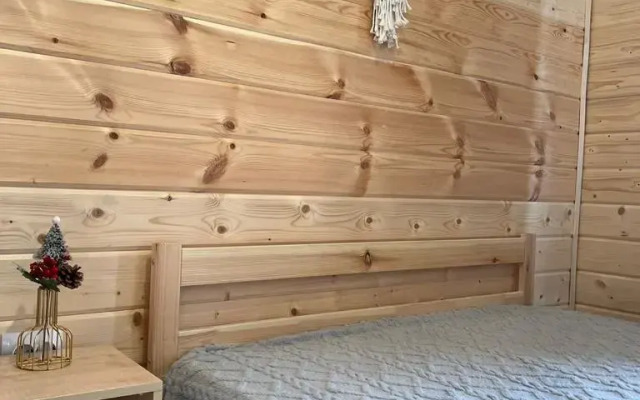 V Dntsn Zelyony Bor Na Lesnoy 6 Private house