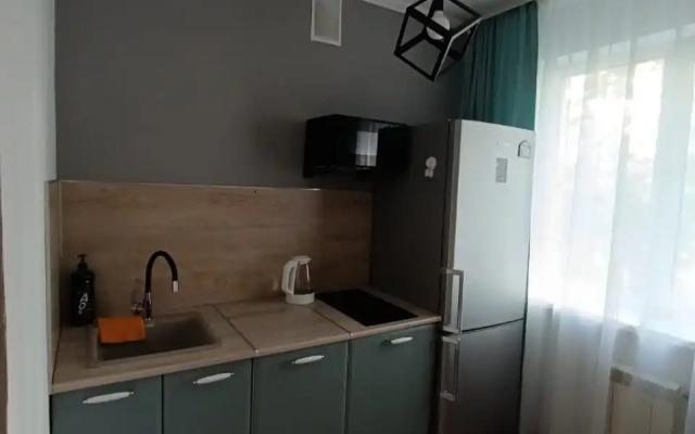 V Shelekhove 11 Flat