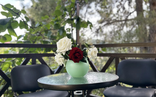 Apartamenty S Baney I Mangalom Private house