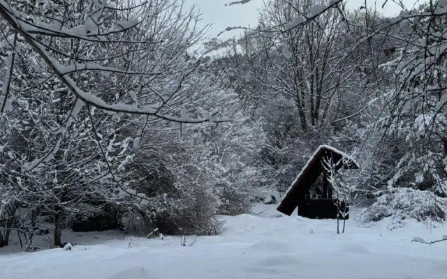 Woodland Recreation camp