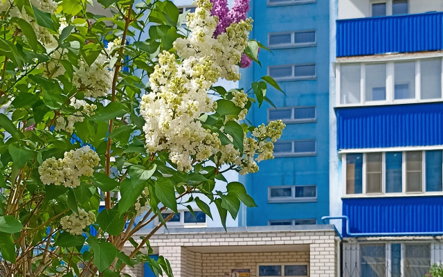 Komfort i domashniy uyut 116 Apartments