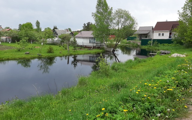 Частный дом Большая дача в Ушаках