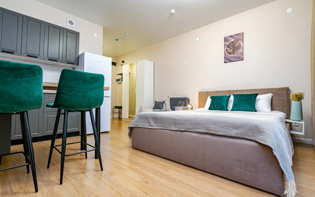 Uyutnaya sovremennaya studiya na Parkovom Flat