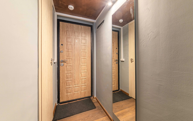 Апартаменты Plaum Студия 3 на Коломенской