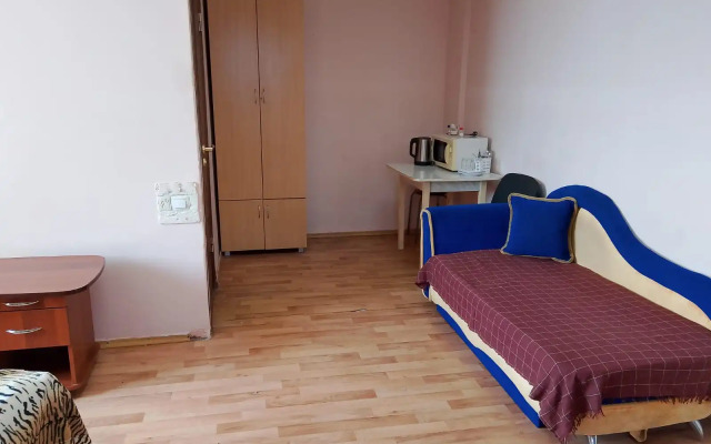 Studiya V Tsentre Flat