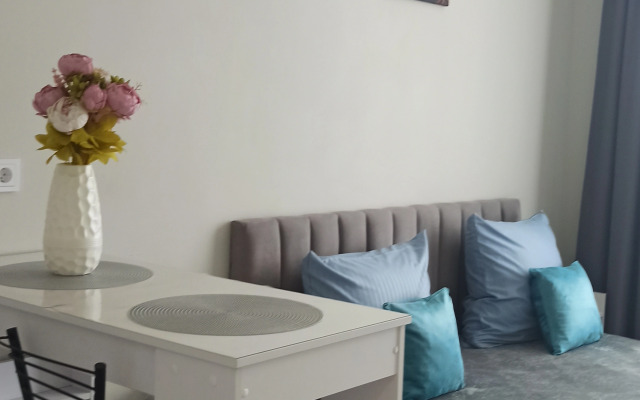 Uyutnaya Studiya U Metro Flat