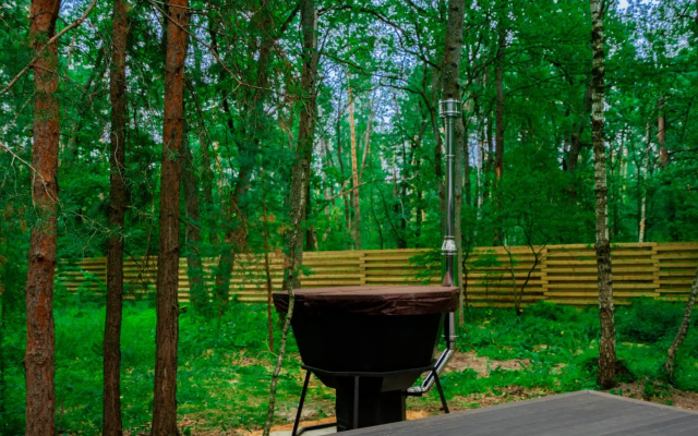 Глэмпинг Папоротник