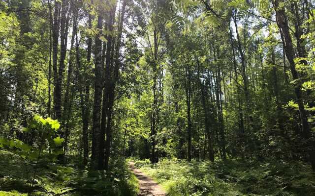 Дом с баней и камином