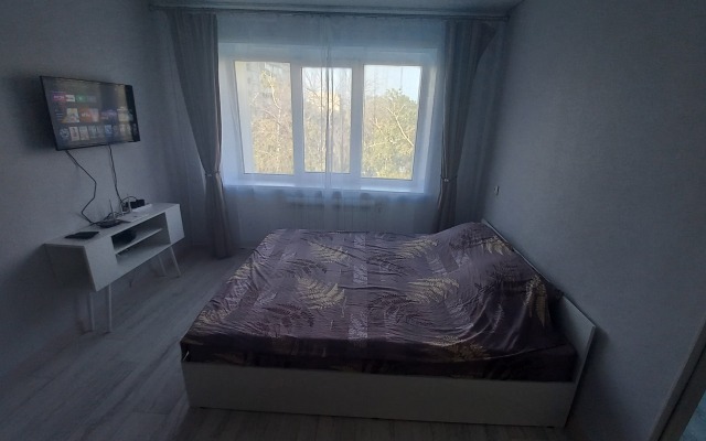 1-Komnatnaya Ryadom S Tgtu I Parkom Pobedy Flat