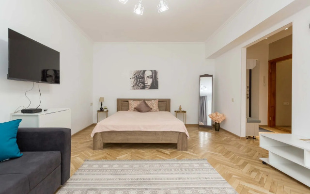Svetlaya V Tsentre Goroda Flat