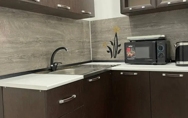 Studiya S Otdelnoy Kukhney Flat