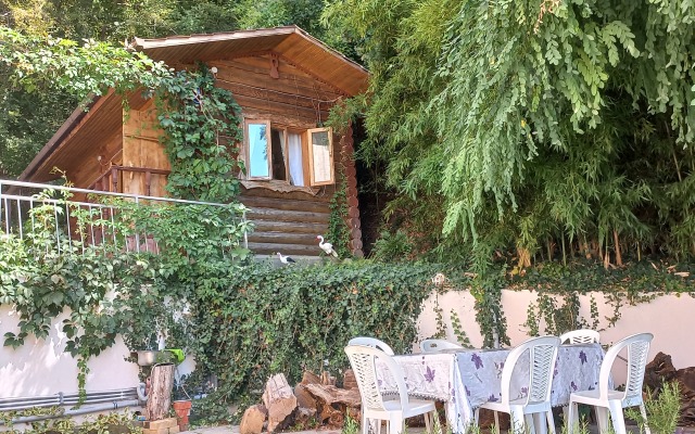 Zelyonaya Gora Guest house