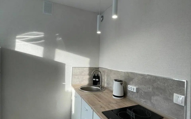 Na Vorovskogo 130 Flat