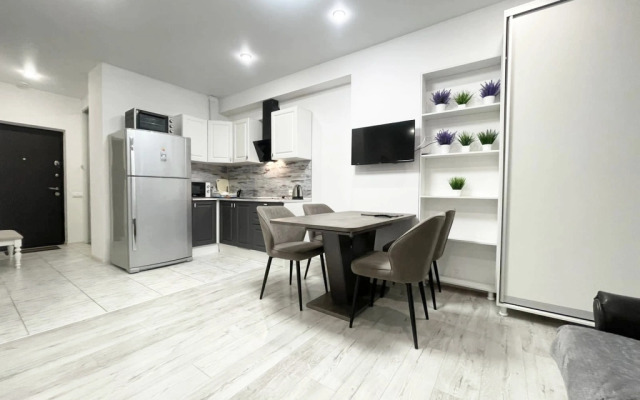 Квартира Большая студия в центре в ЖК Сокол