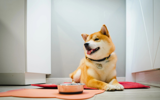 VALO Ramada Plaza by Wyndham St.Petersburg