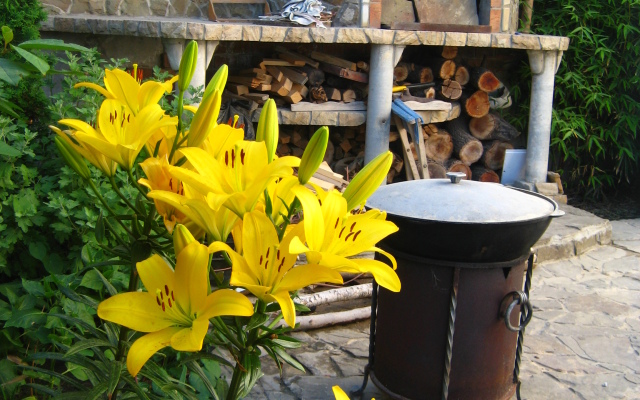 Tsvetok Granata Guest House