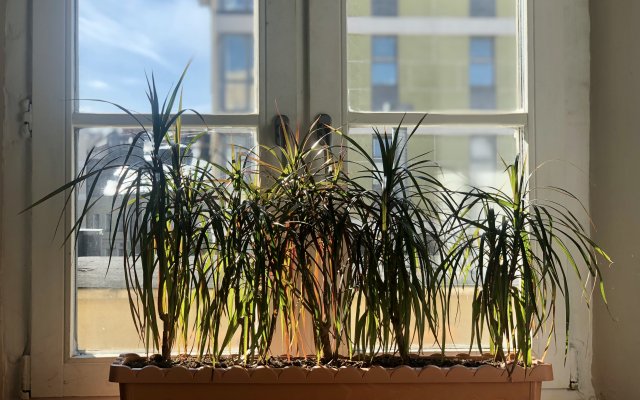 Хостел Nw Hostel