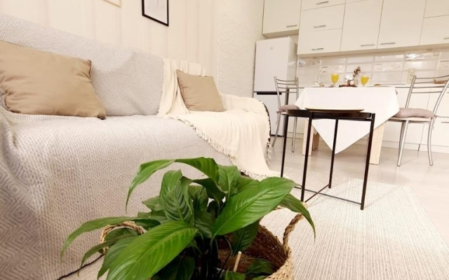 Na Vishnyovom Pereulke 85B Flat