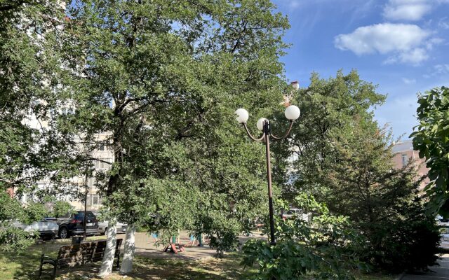 Квартира 266 на Туристической 6/1