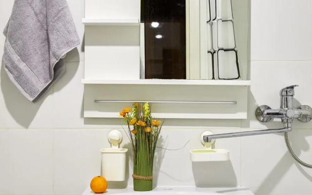 Novaya, uyutnaya kvartira v tsentre goroda Flat
