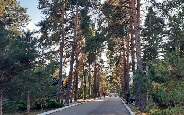 Dom Tvorchestva Goryachiy Klyuch Hotel