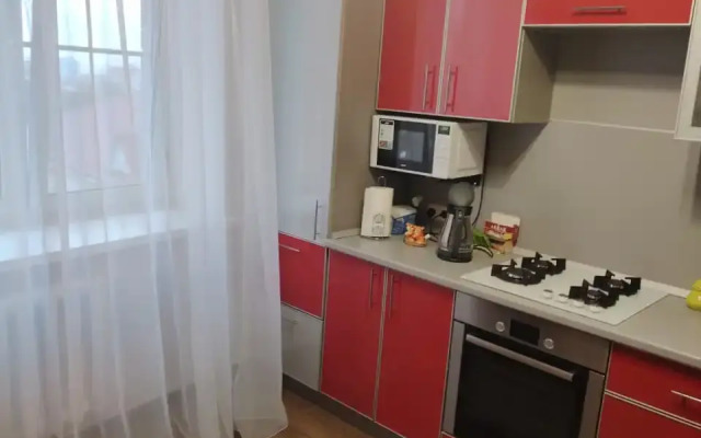 V Tsentre Apartments