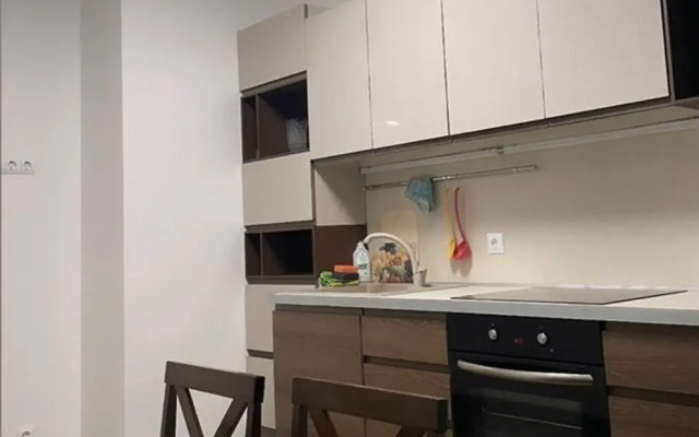 1-Komnatnaya Ryadom S Platonovckim Parkom Flat