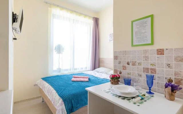 Апартаменты в ЖК Царская Площадь 383-3