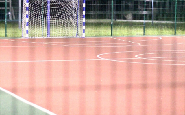 Частный дом в березах