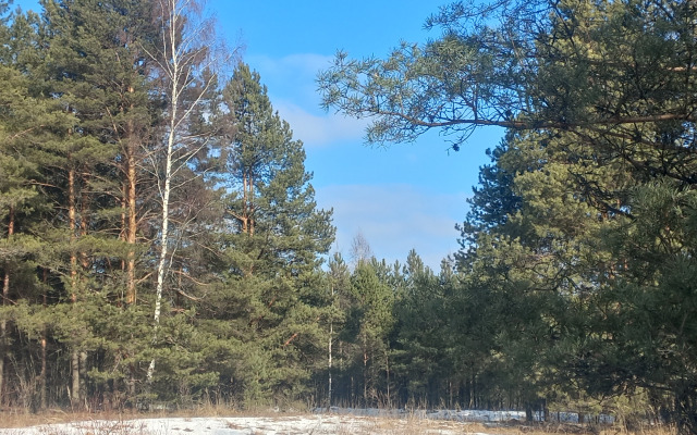 Частный дом Речная Заимка